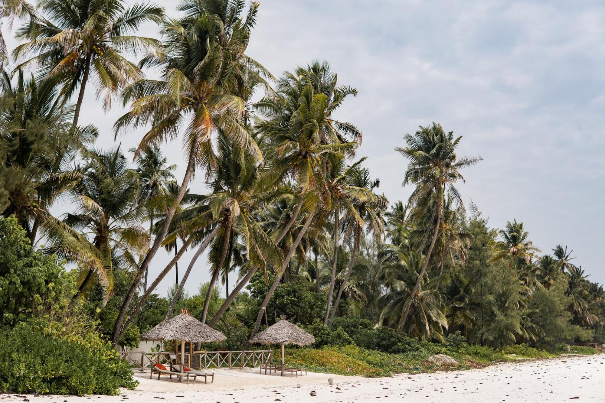 Kima Serviced Beach House & Suites Bwejuu Ngoại thất bức ảnh
